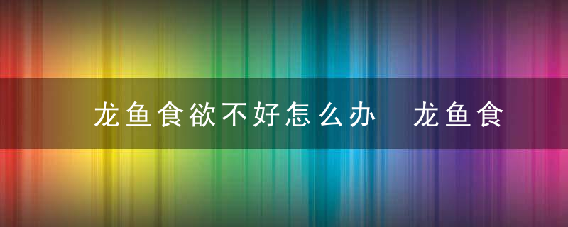 龙鱼食欲不好怎么办 龙鱼食欲不好的原因